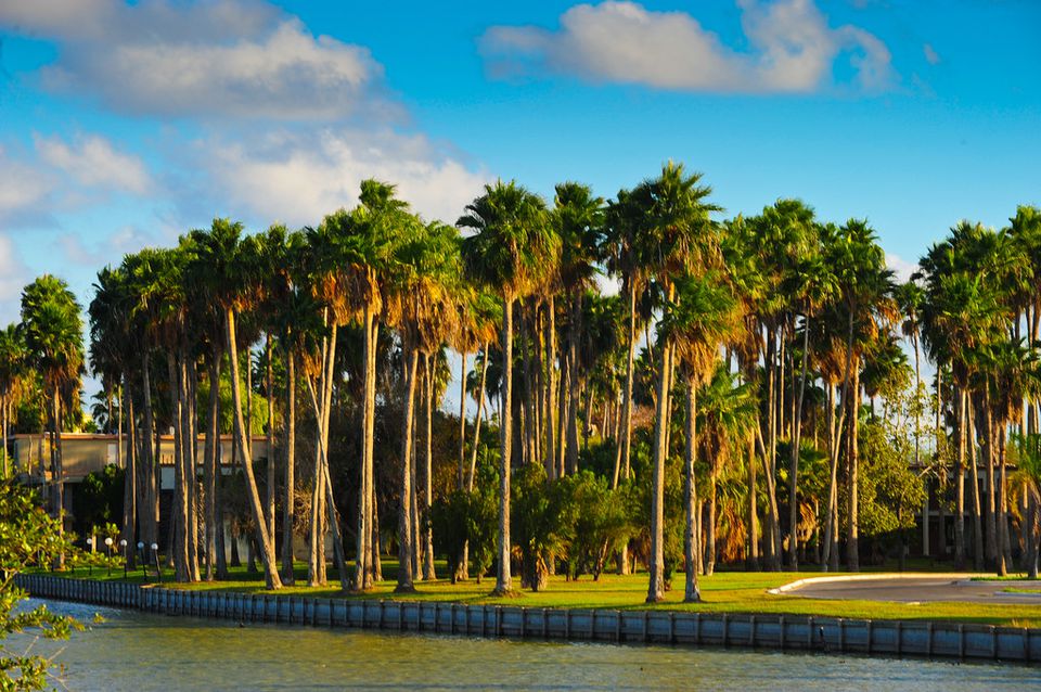 Nơi sống tốt nhất ở Mỹ - Brownsville, Texas